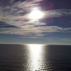 Meet your Posher, Taneika